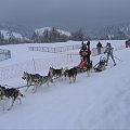 Zuberec - marzec 2006 - narty w Oravicy oraz w Zubercu i ME w psich zaprzegach #Zuberec #Oravice #Tatry #Narty #Słowacja #husky