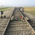 tory kolejowe, którymi przyjeżdżały pociągi z więźniami