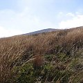 #Bieszczady