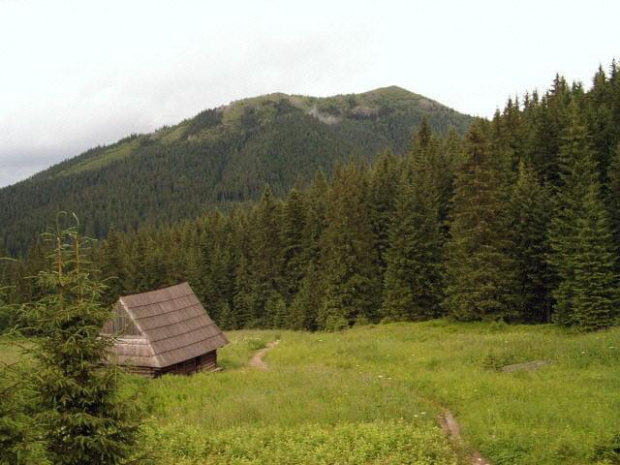Wielki Kopieniec z Polany Olczyskiej #Tatry #góry