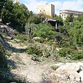 Park kolo ruin amfiteatru #tarragona #park #amfiteatr