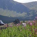 tatry