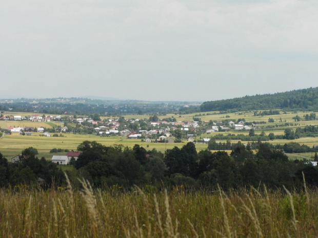 uczę sie fotografii #przyroda