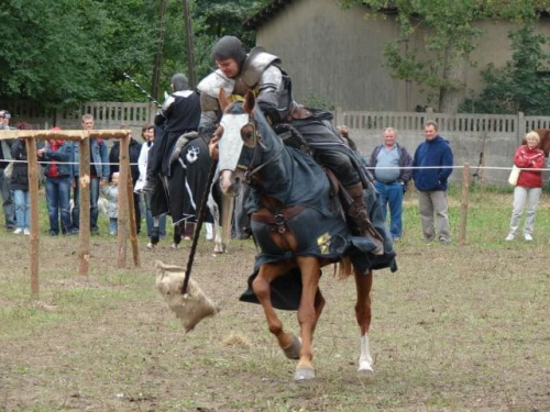 #Pęzino #rycerze #TruniejRycerski #koń #konie