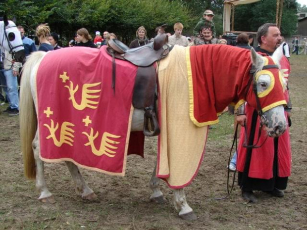 #konie #Pęzino #rycerze #TruniejRycerski #koń