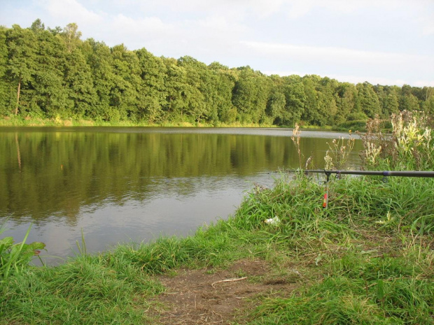 Zbiornik, Lisowice, Koluszki, przyroda #Zbiornik #Lisowice #Koluszki #przyroda