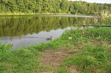 Zbiornik, Lisowice, Koluszki, przyroda #Zbiornik #Lisowice #Koluszki #przyroda