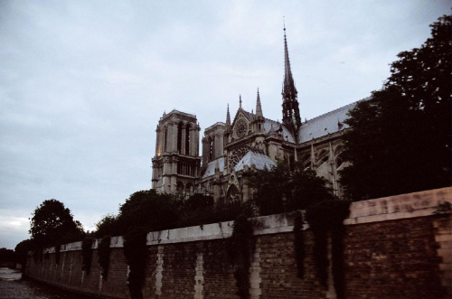 Widok na katedre Notre Dame z Sekwany...