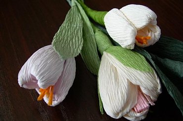 Bibułkowe kwiatki #RĘKODZIEŁOARTYST