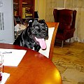 milo miec z kim inteligentnie porozmawiac :)