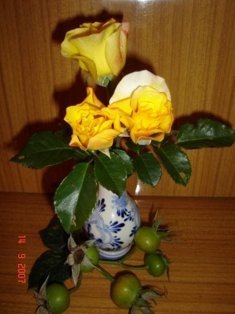 Róża - pozdrawiam wszystkich :)