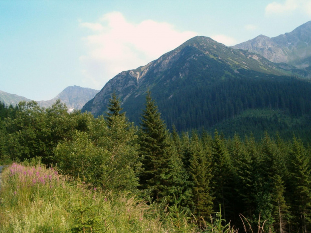 w Dolinie Rohackiej #Tatry #góry