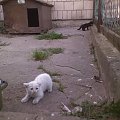 strach w oczach
