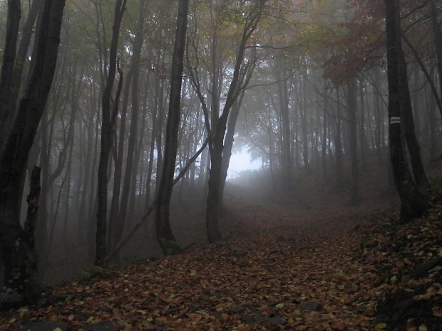 Bieszczady 2004