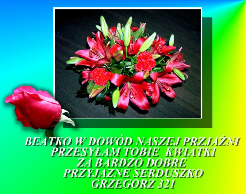 Kwiaty od Grzegorza, mojego przyjaciela, który odszedł z fotosika, bo.... przyjaciele Jego znają powód! Kochamy Cię Grzesiu i jesteśmy z Tobą!!!!