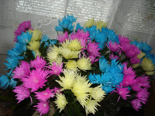 Takie piękne kwiaty dostałam od Basi na urodzinki