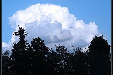 J. Niesłysz - Tyczyno i okolice #Świebodzin #Krzeczkowo #Tyczyno